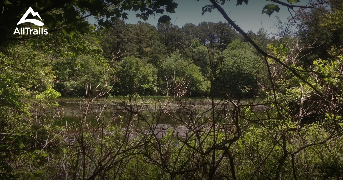 Best hikes and trails in Peconic Bog County Park AllTrails