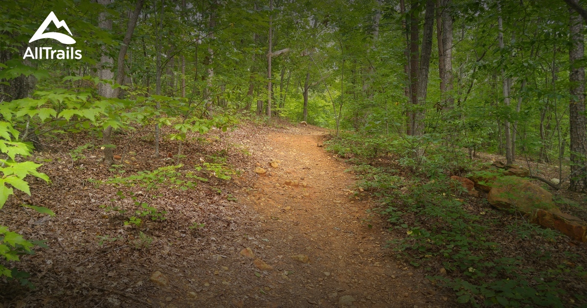 Best forest trails in Uwharrie National Forest, North Carolina  AllTrails