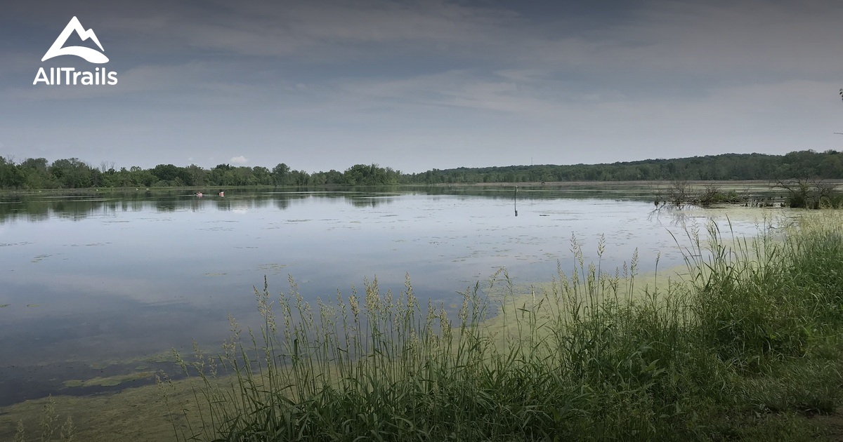 Best hikes and trails in Corwin M Nixom Pine Hill Lakes Park AllTrails