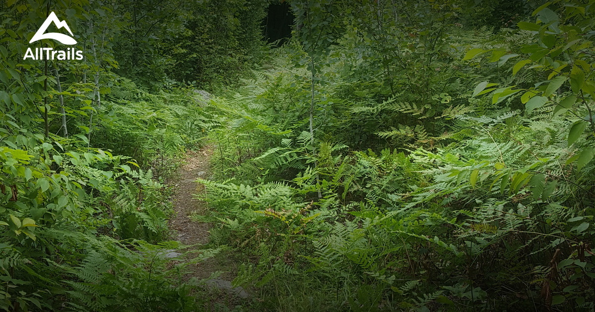 Best historic site trails in Long - Parks Us New Jersey Long Pond Ironworks State Park 10117564 20201203080504000000000 1200x630 3 41607027384 