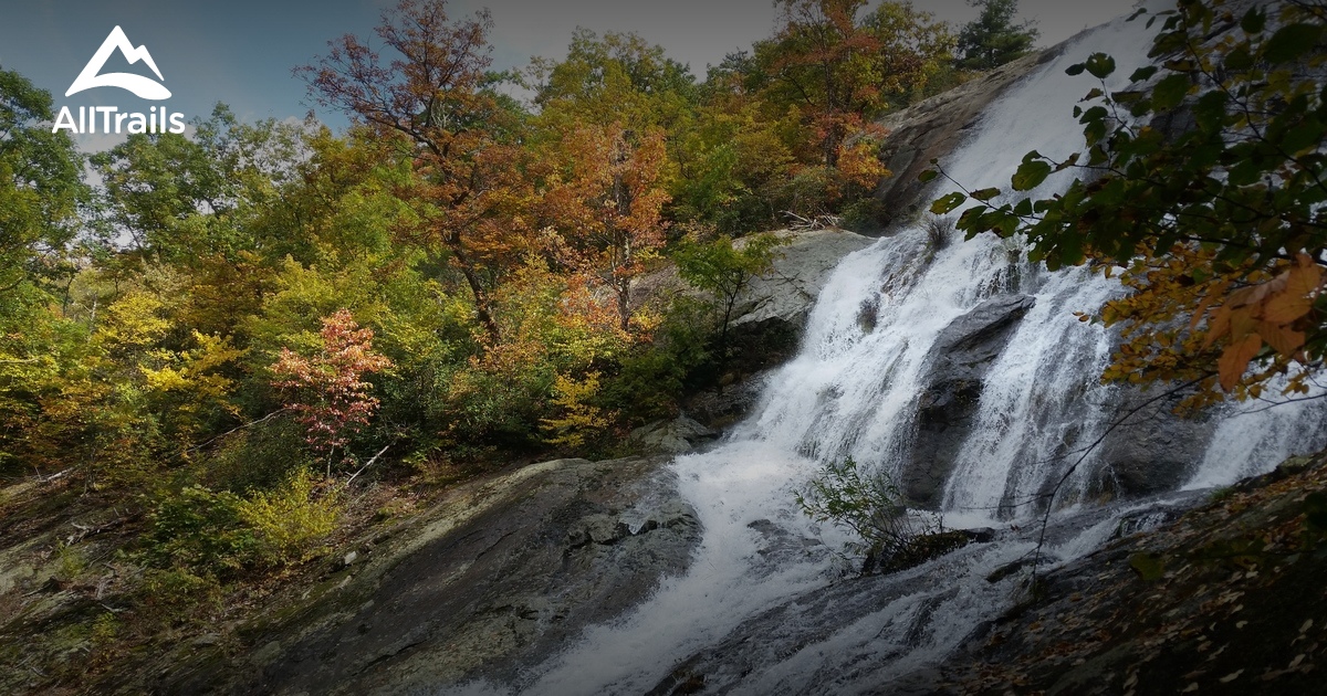 Best Trails in George Washington National Forest 