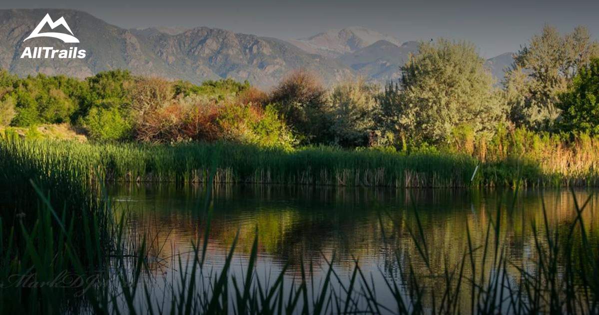 Best Trails in Fountain Creek Regional Park