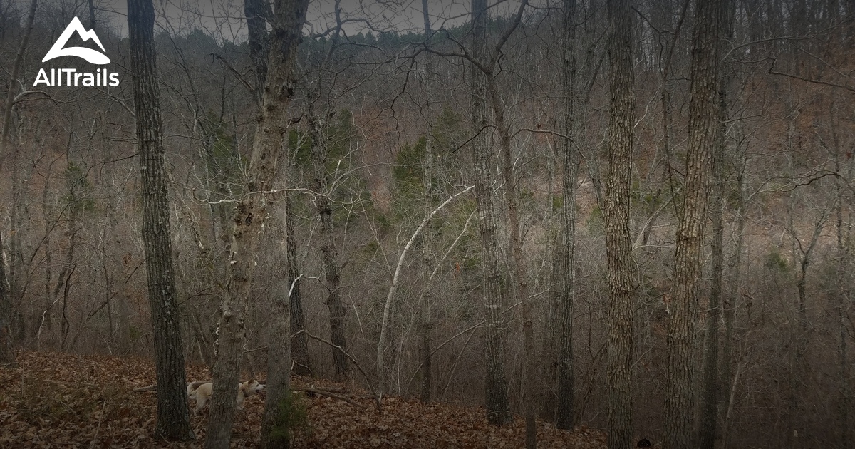 Huckleberry Ridge Best hikes and trails in Huckleberry Ridge Conservation Area | AllTrails