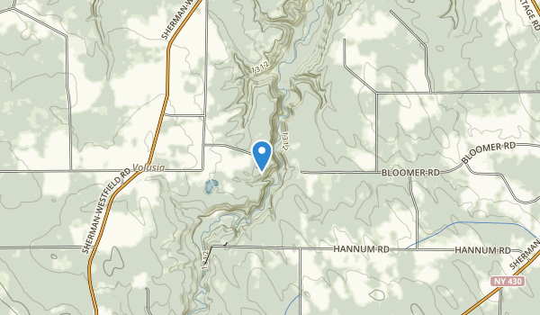 Best Trails in Chautauqua Gorge - Parks Us New York Chautauqua Gorge State Forest 10117960 600x350 1 