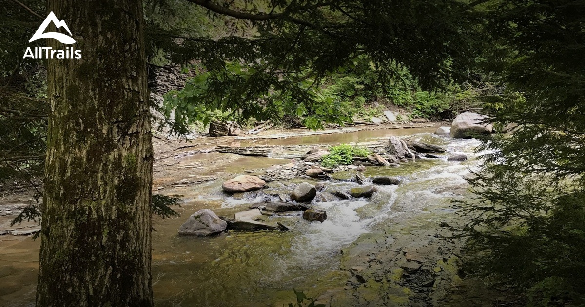 Best hikes and trails in Chautauqua - Parks Us New York Chautauqua Gorge State Forest 10117960 20210204080157000000000 1200x630 3 41612458893 