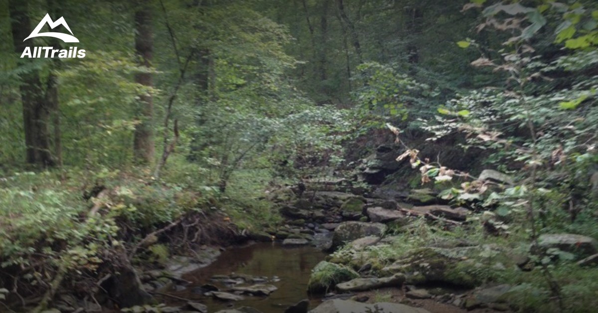 Best Trails in Cumberland State Forest