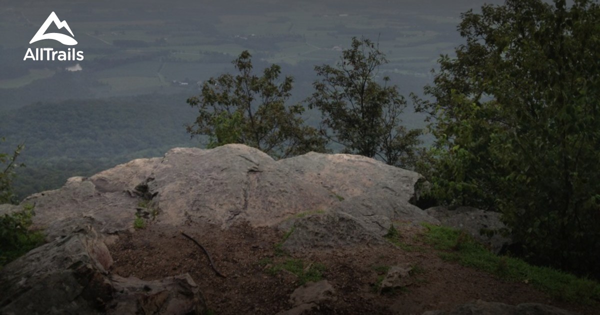 Best Trails in Tuscarora State Forest Pennsylvania 28 Photos & 21