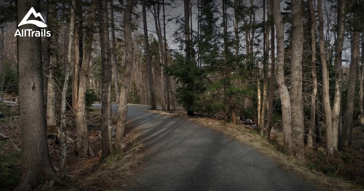 Best hikes and trails in Hemlock Ravine Park AllTrails