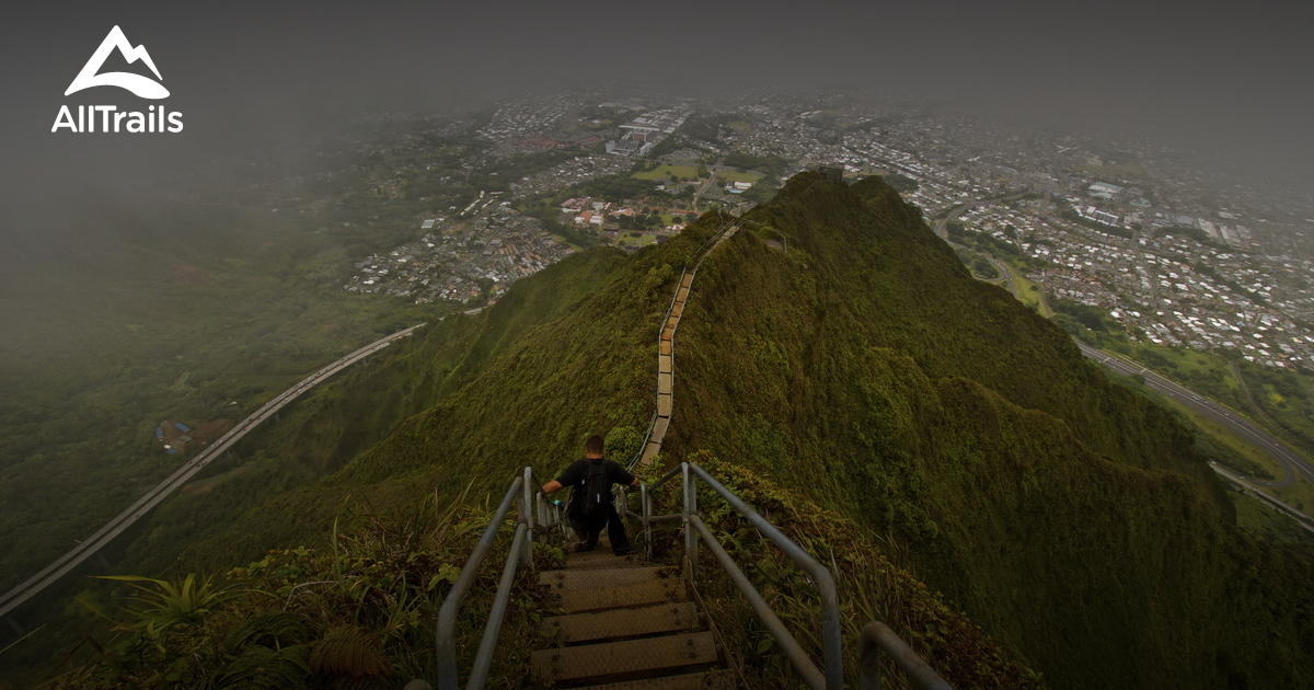 Best Trails in Honolulu Watershed Forest Reserve - Hawaii | 2278 Photos ...