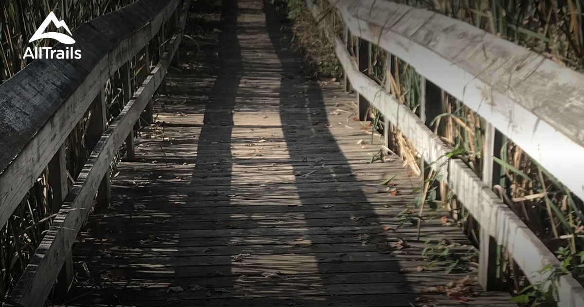 Best hikes and trails in Geraid E Collamer Park | AllTrails