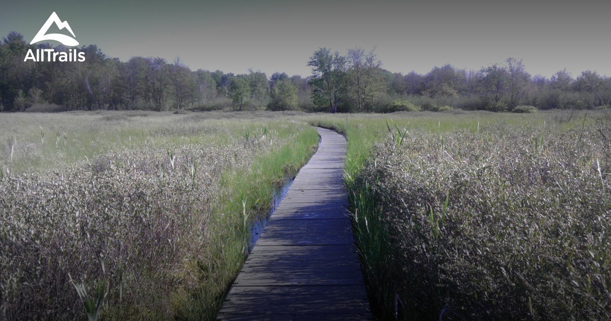 Best hikes and trails in West Lake Nature Preserve AllTrails