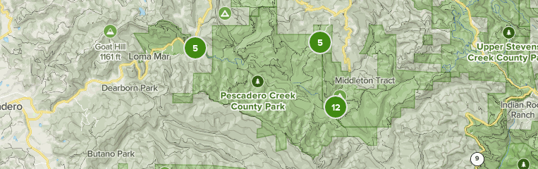 2023 Best 10 Trails in Pescadero Creek County Park | AllTrails