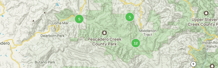 Best 10 Hikes and Trails in Pescadero Creek County Park | AllTrails