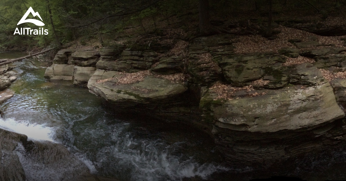 Best Trails in Loyalsock State Forest Pennsylvania AllTrails