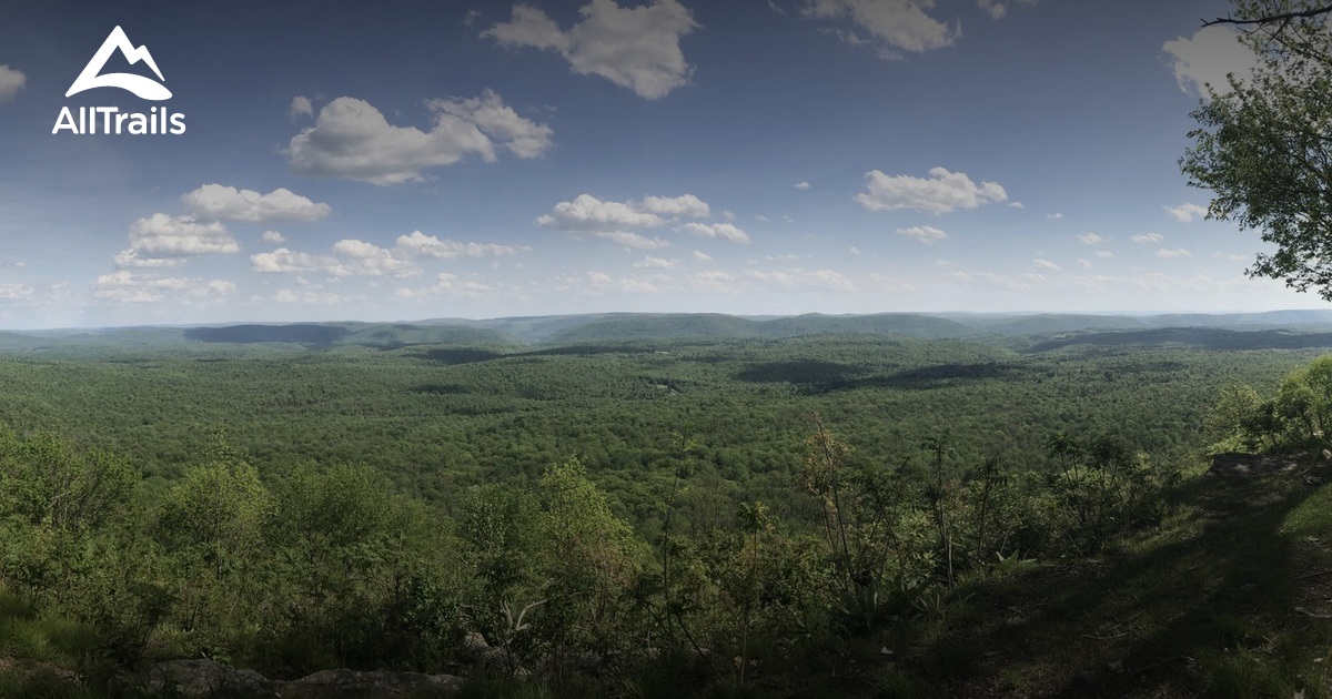 10 Best hikes and trails in Loyalsock State Forest AllTrails
