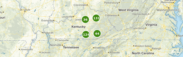 Best Trails in Daniel Boone National Forest - Kentucky 