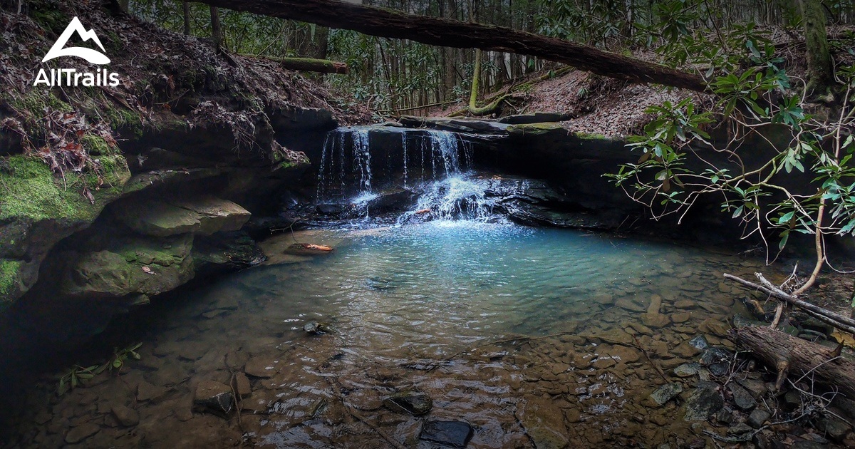 Best Trails in Daniel Boone National - Parks Us Kentucky Daniel Boone National Forest 10118322 20200626162802000000000 1200x630 3 41593188905