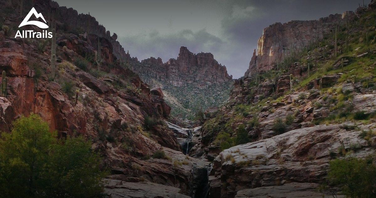 Best Trails in Coronado National Forest - Arizona | AllTrails