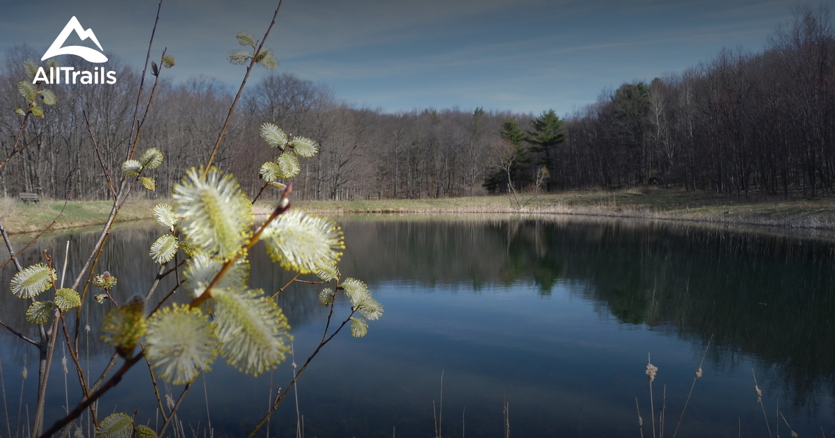 Best Trails in Honeoye Lake State Marine Park - New York | AllTrails