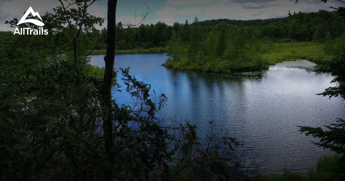 Best Trails in Chequamegon National Forest Wisconsin AllTrails