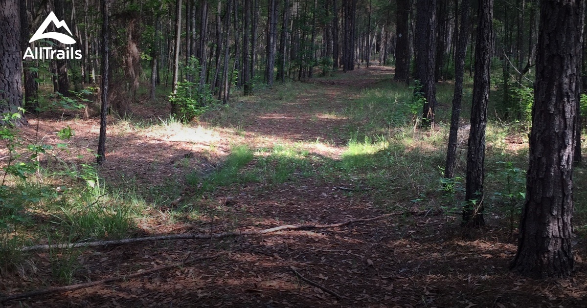 Best hikes and trails in Ralph E Simmons State Forest AllTrails