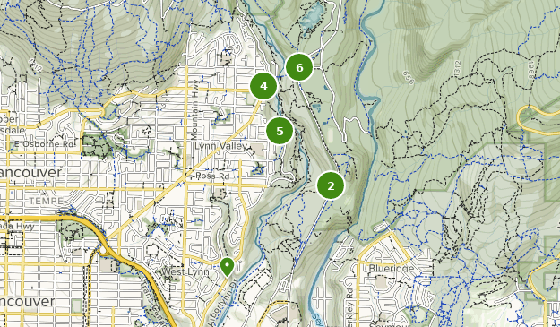 Best Trails in Lynn Canyon Park - British Columbia, Canada | AllTrails
