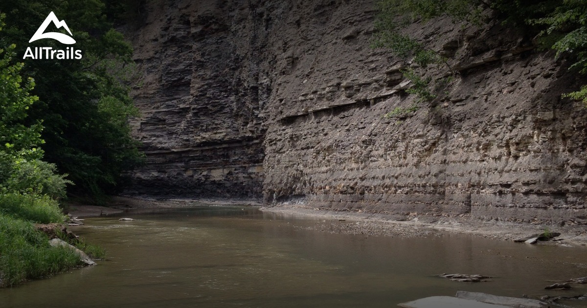 Best Trails in Sonyea State Forest New York AllTrails