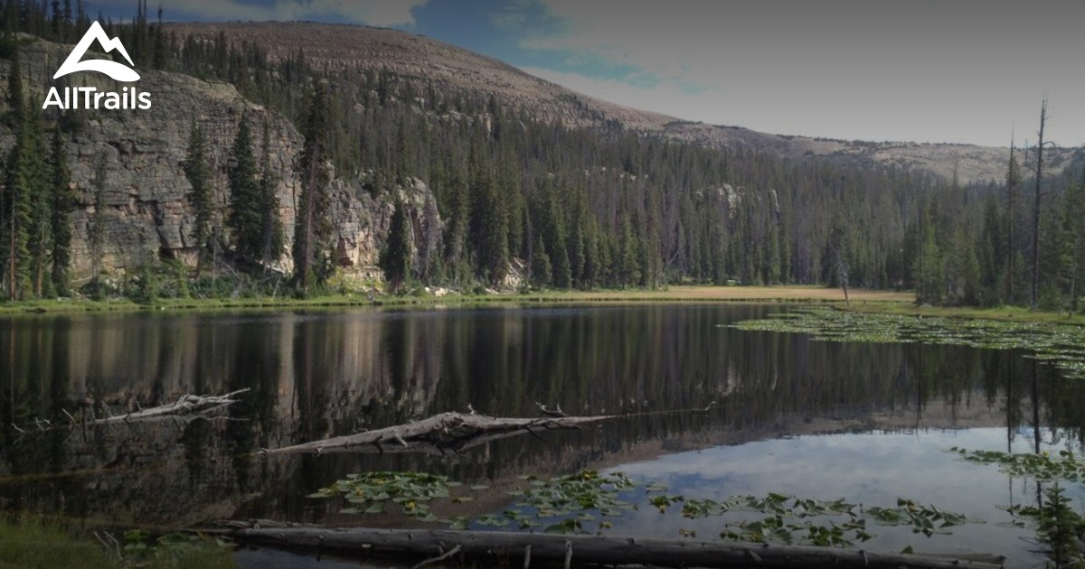 Best Trails in Ashley National Forest Utah AllTrails