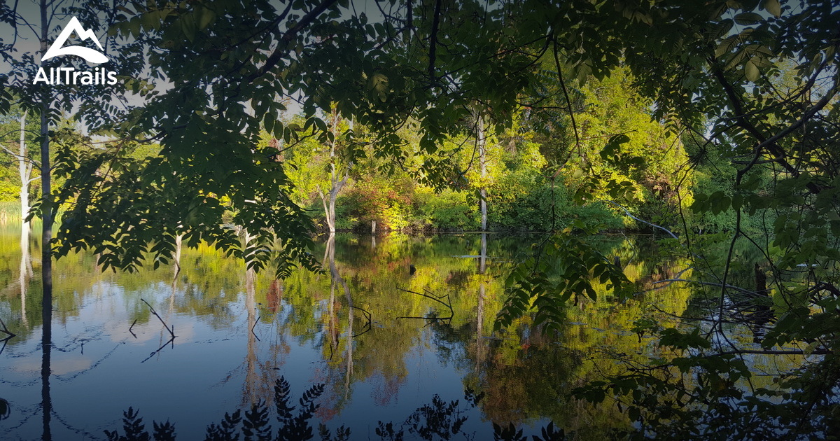 Best hikes and trails in White Brook Nature Area AllTrails