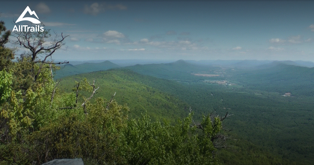 Best Trails in Buchanan State Forest - Pennsylvania | AllTrails