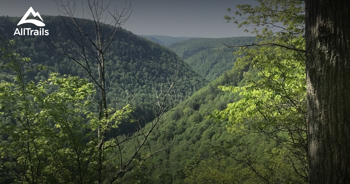 Best Trails in Tioga State Forest - Pennsylvania | AllTrails