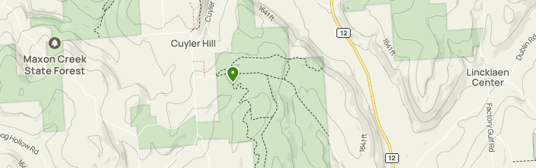 Best Hikes and Trails in Cuyler Hill State Forest | AllTrails