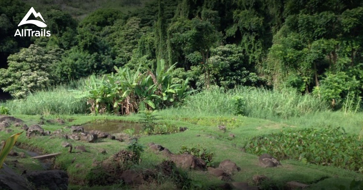 Best Trails In Halawa Beach Park Hawaii Alltrails