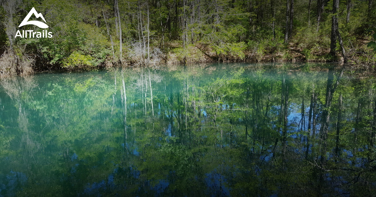 Best Trails in Econfina Creek Water - Parks Us Florida Econfina Creek Water Management Area 10119301 20180419095927 1200x630 3 41524301181 