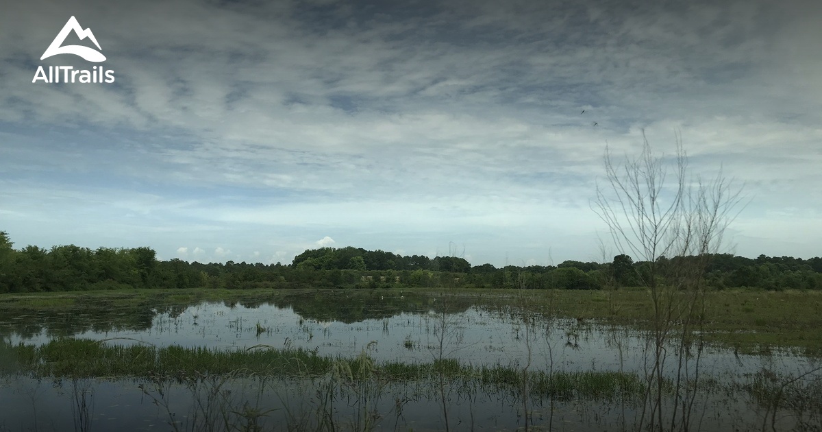 Best hikes and trails in Eufaula National Wildlife Refuge | AllTrails