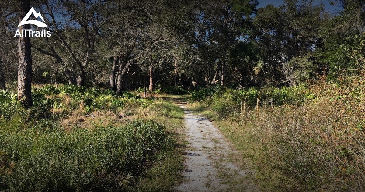 Best Hikes And Trails In Barefoot Beach State Preserve | AllTrails