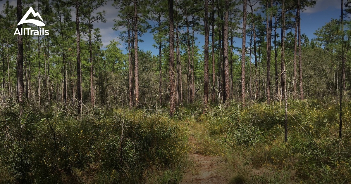 Best Trails in Croom Wildlife Management - Parks Us Florida Croom Wildlife Management Area 10119485 20180802094425 1200x630 3 41537914529