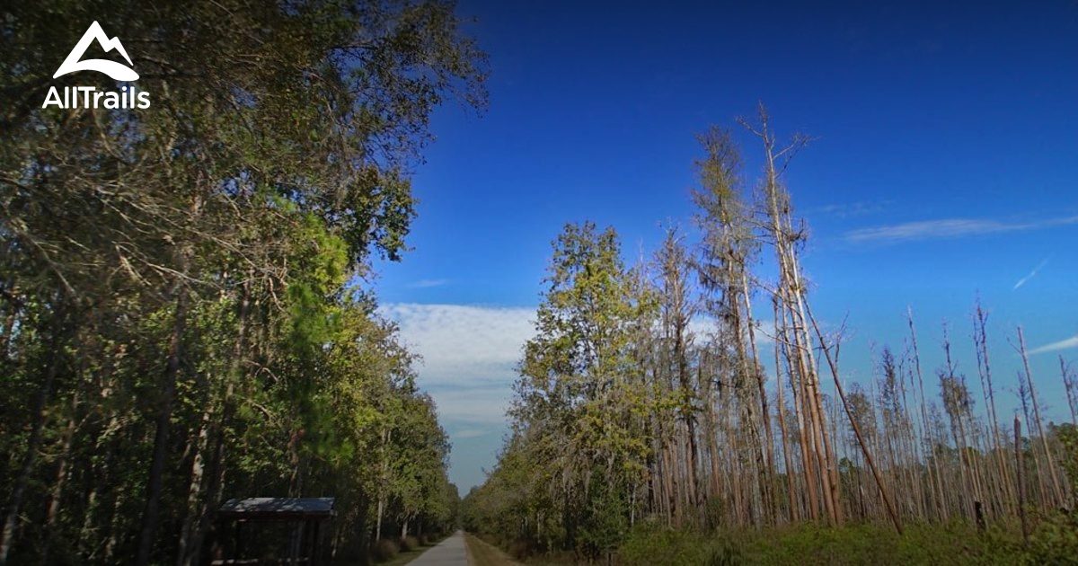 best trails in green swamp wildlife management area 100 days plan