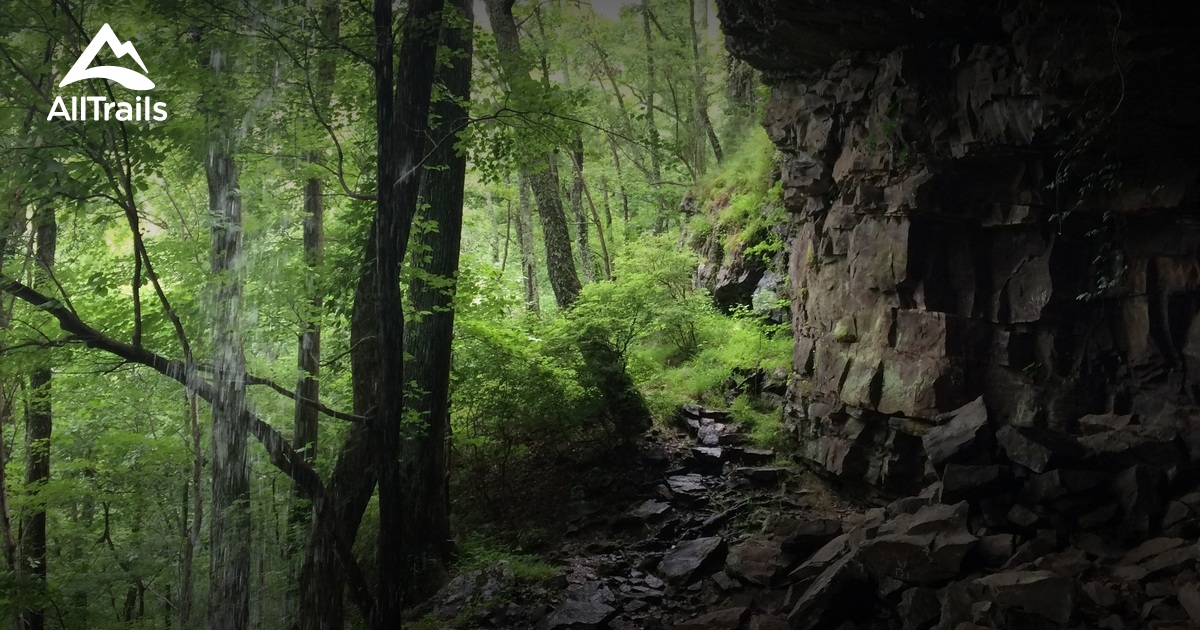 Best Trails in Johns Mountain Wildlife Management Area