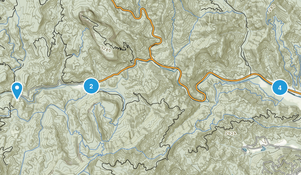 Best Trails in Davidson River Recreational Area - North Carolina