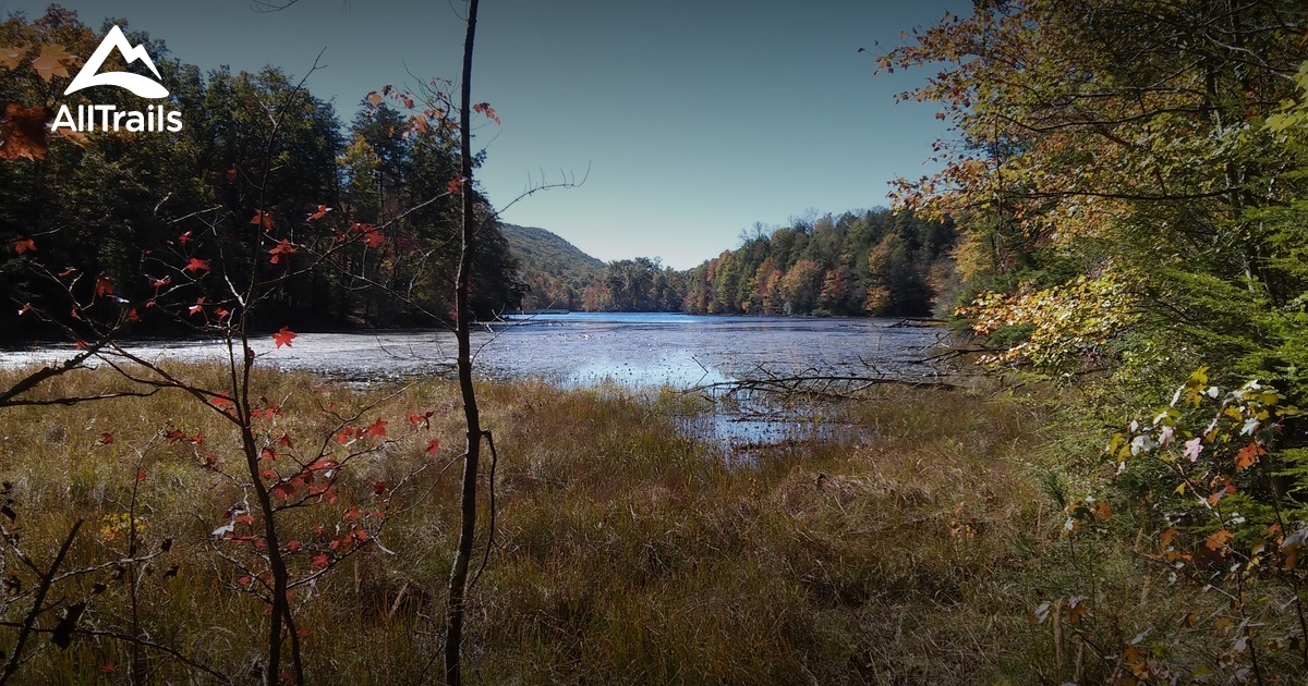 Best Trails in Bays Mountain Park - Tennessee  117 Photos & 114 