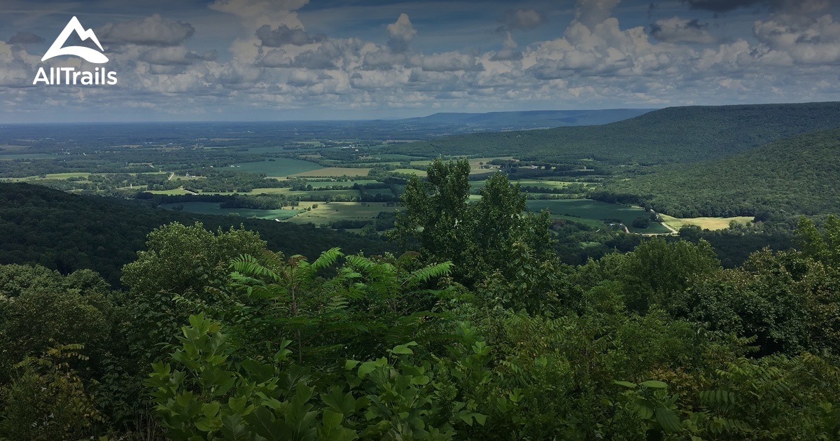 Escape to Grundy Forest: Where Tennessee's Wild Side Thrives