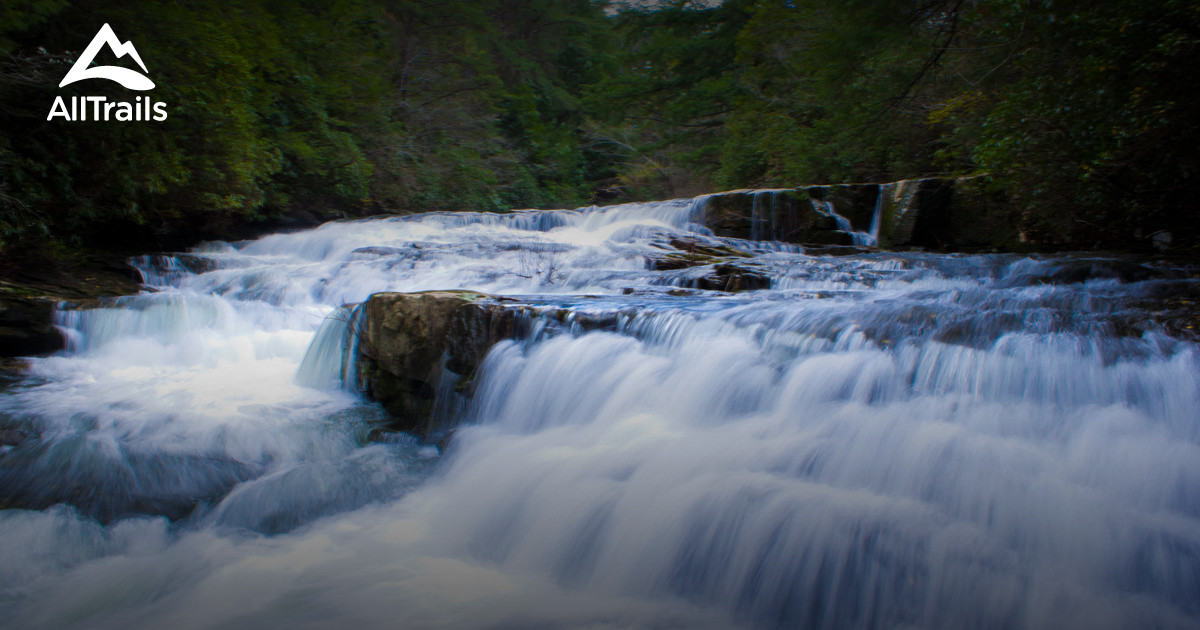 Best Trails in Savage Gulf State Natural Area - Tennessee | AllTrails