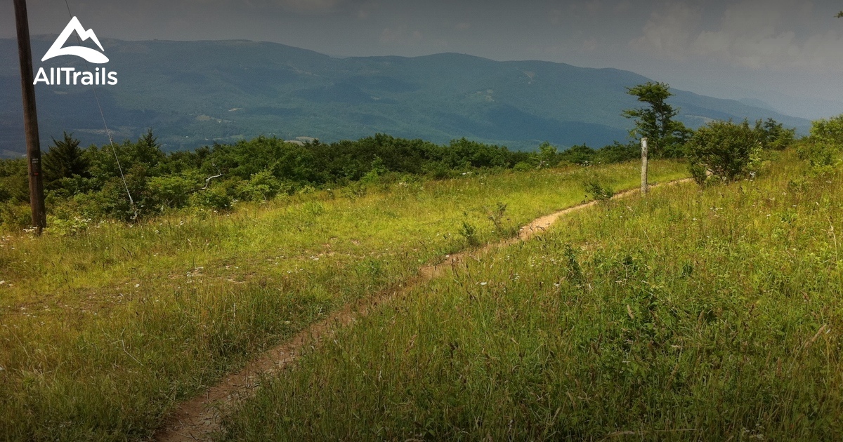 10 Best trail running trails in Mount Rogers National Recreation Area ...