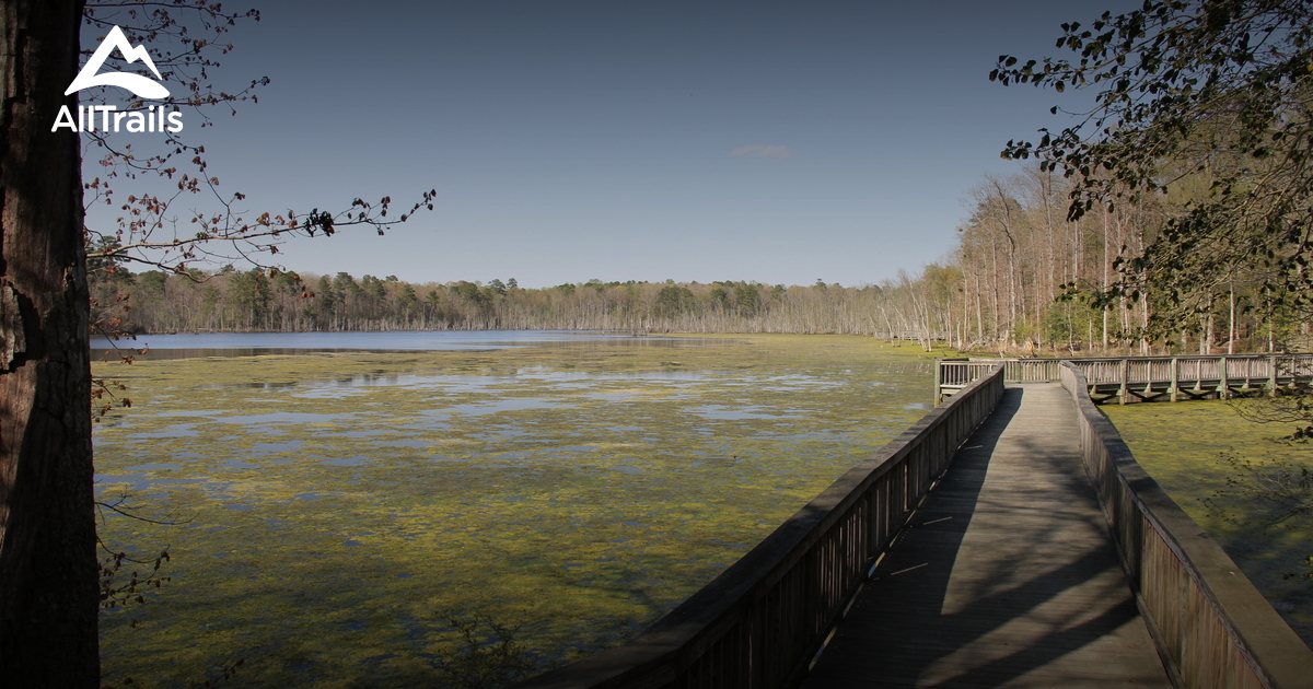 Best Trails in Newport News Park - Virginia | AllTrails