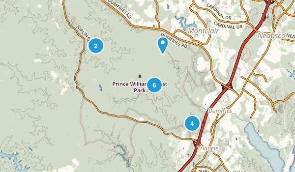 Best Trails in Prince William Forest - Parks Us Virginia Prince William Forest Park 10119970 20170903085424 600x350 1 