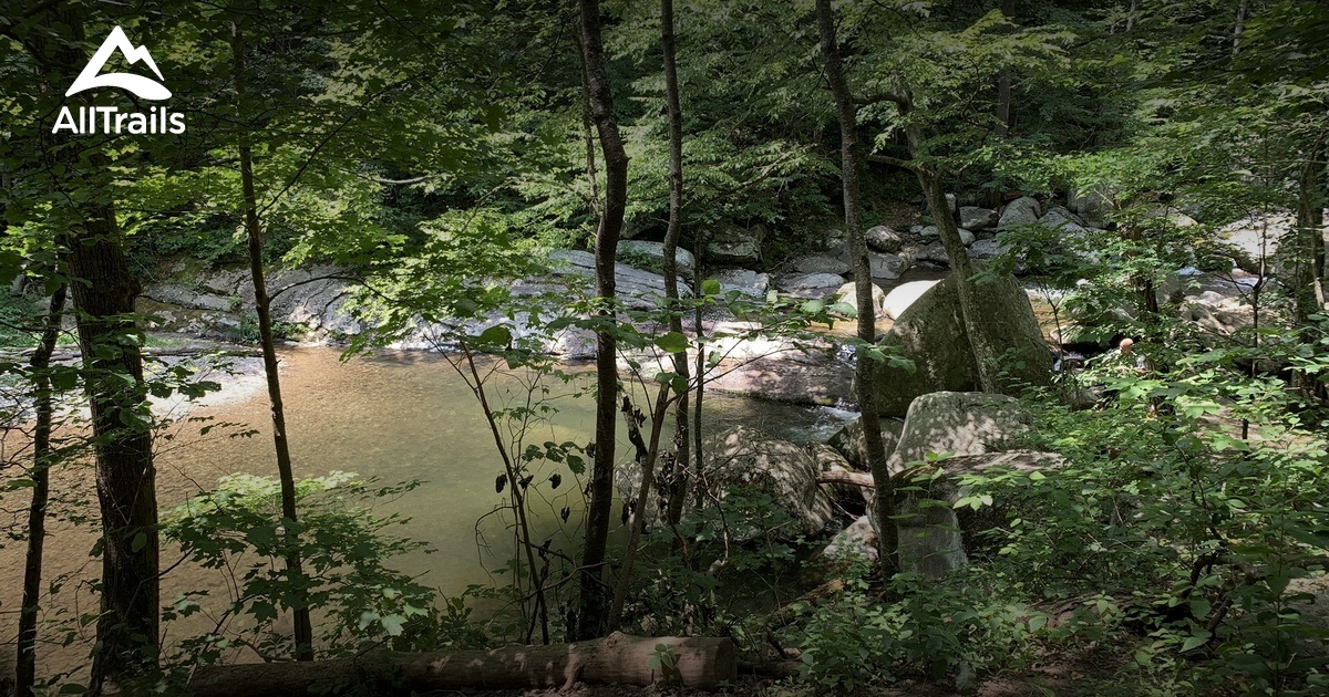 Best trails in Rapidan Wildlife Management Area, Virginia AllTrails