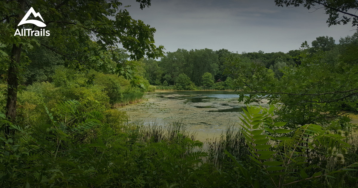 Best Trails in Independence Grove County Forest Preserve Illinois