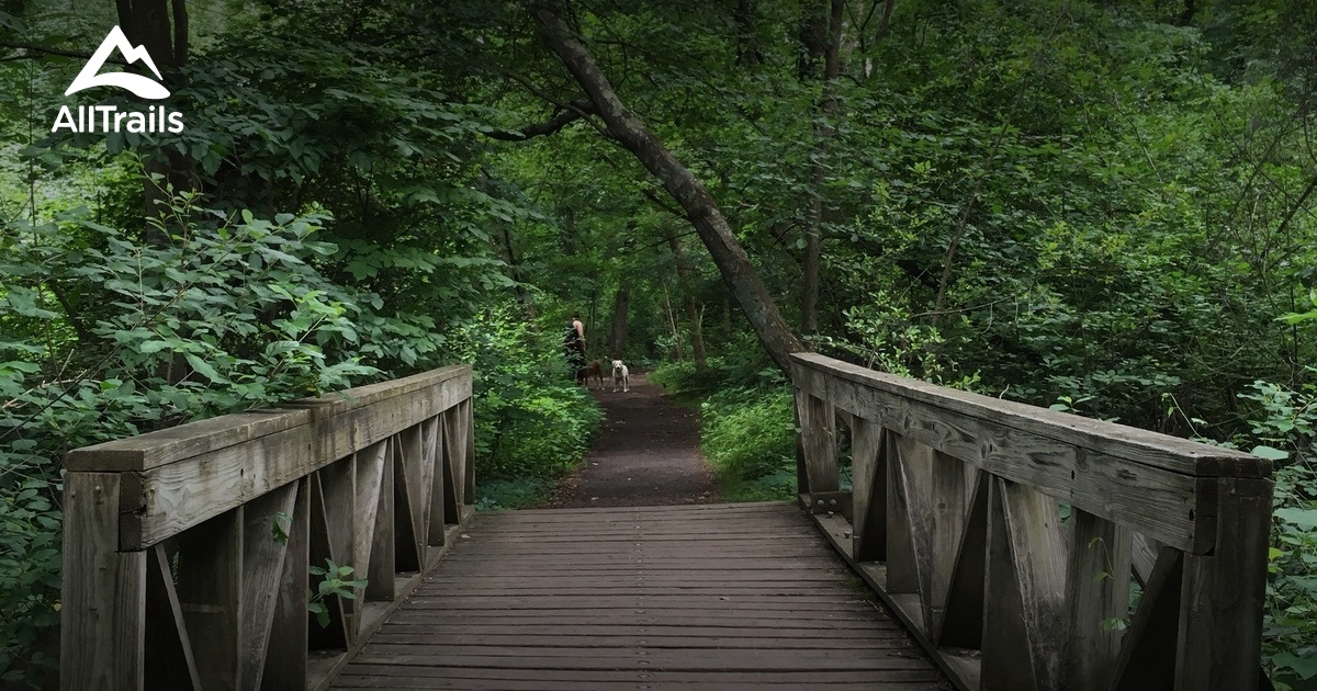 Best hikes and trails in Cold Spring Park | AllTrails