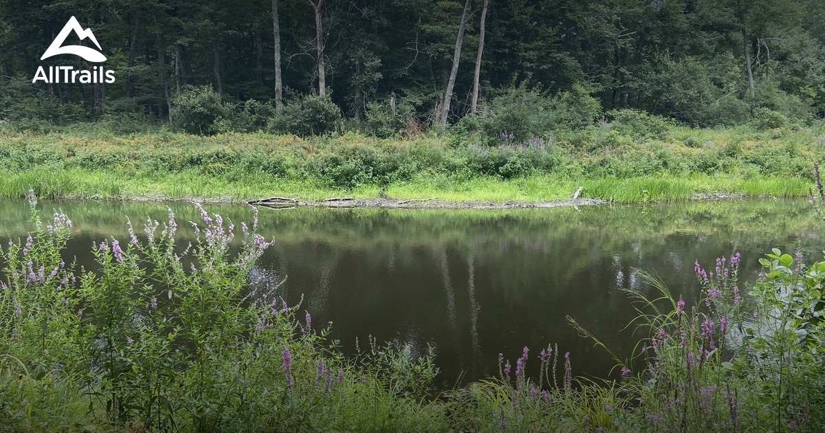 Best Hikes and Trails in Gilman Park AllTrails